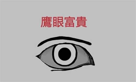 鷹眼 面相|【鷹眼面相】揭開鷹眼面相的神秘面紗：透析鋭利眼神。